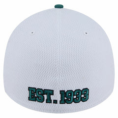 NFL Philadelphia Eagles Dashmark Rays 39THIRTY Flex Hat