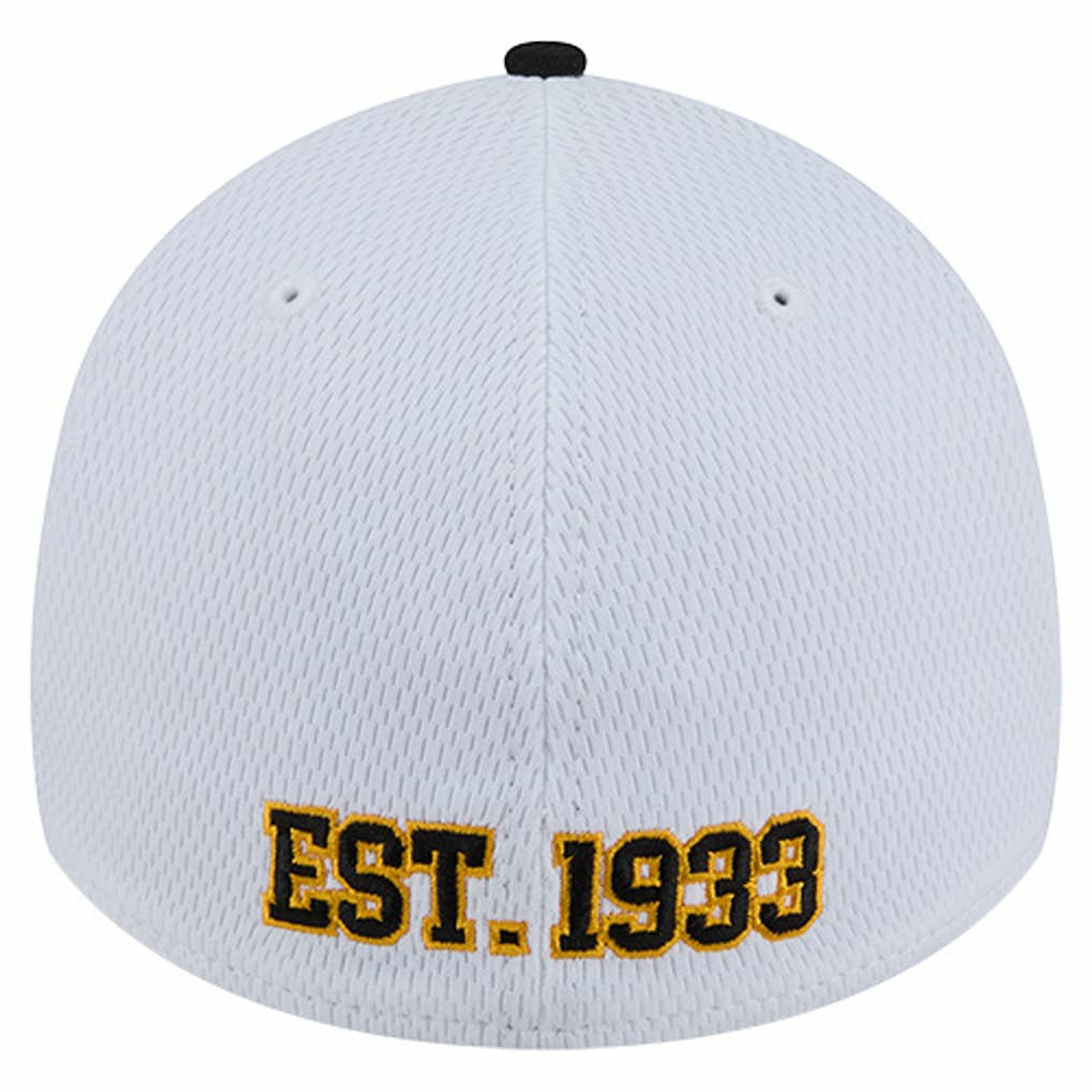 NFL Pittsburgh Steelers Dashmark Rays 39THIRTY Flex Hat