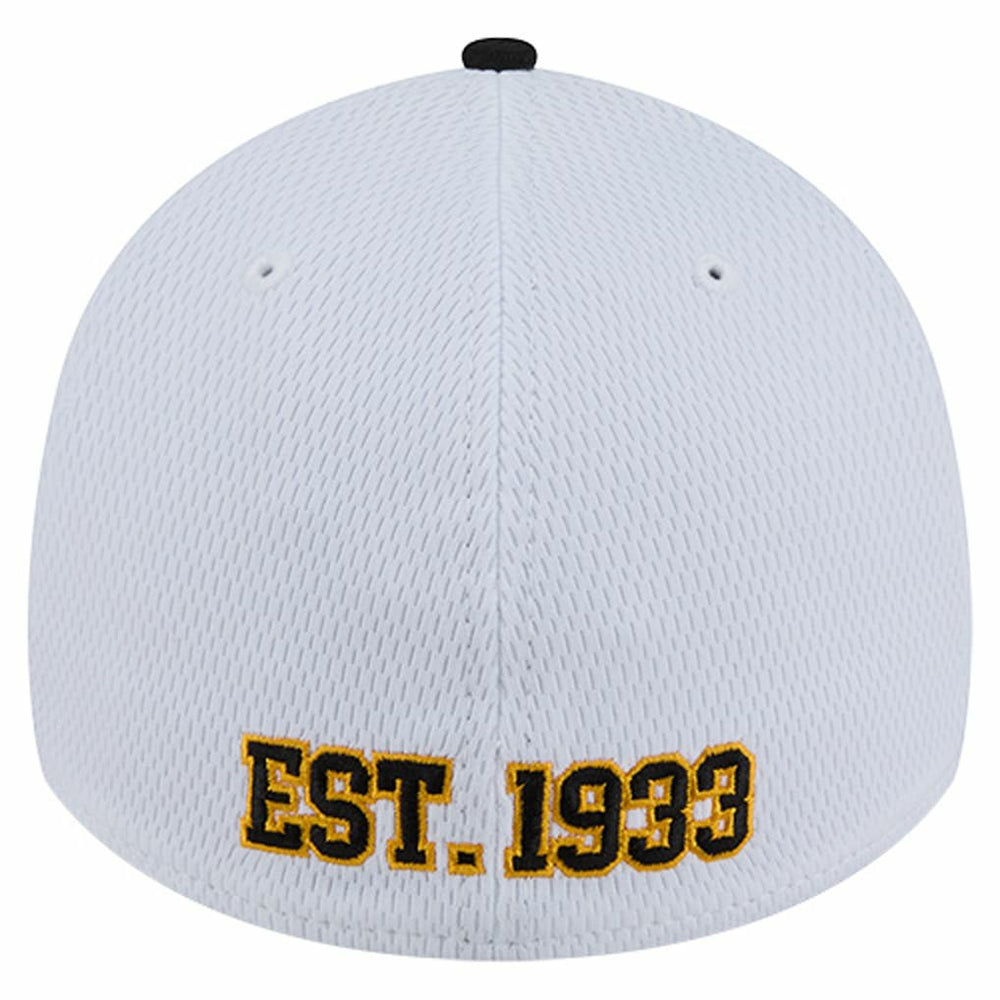 NFL Pittsburgh Steelers Dashmark Rays 39THIRTY Flex Hat