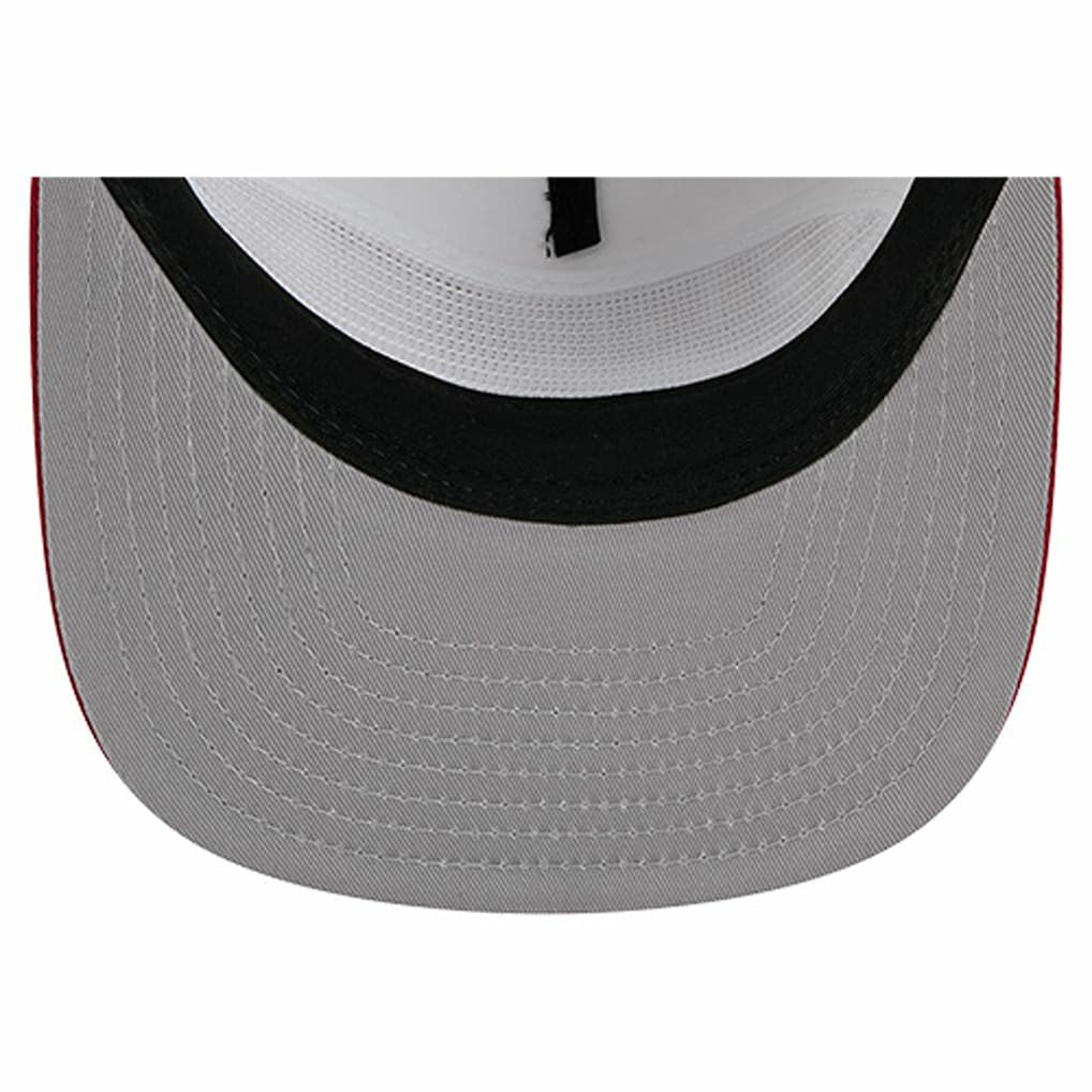 NFL Arizona Cardinals Argyle 19TWENTY Adjustable Hat