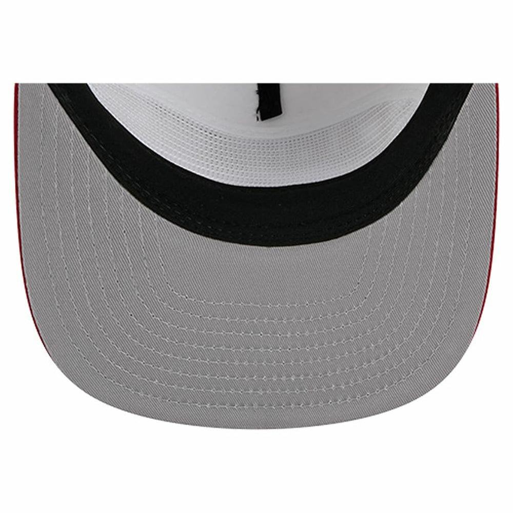 NFL Arizona Cardinals Argyle 19TWENTY Adjustable Hat