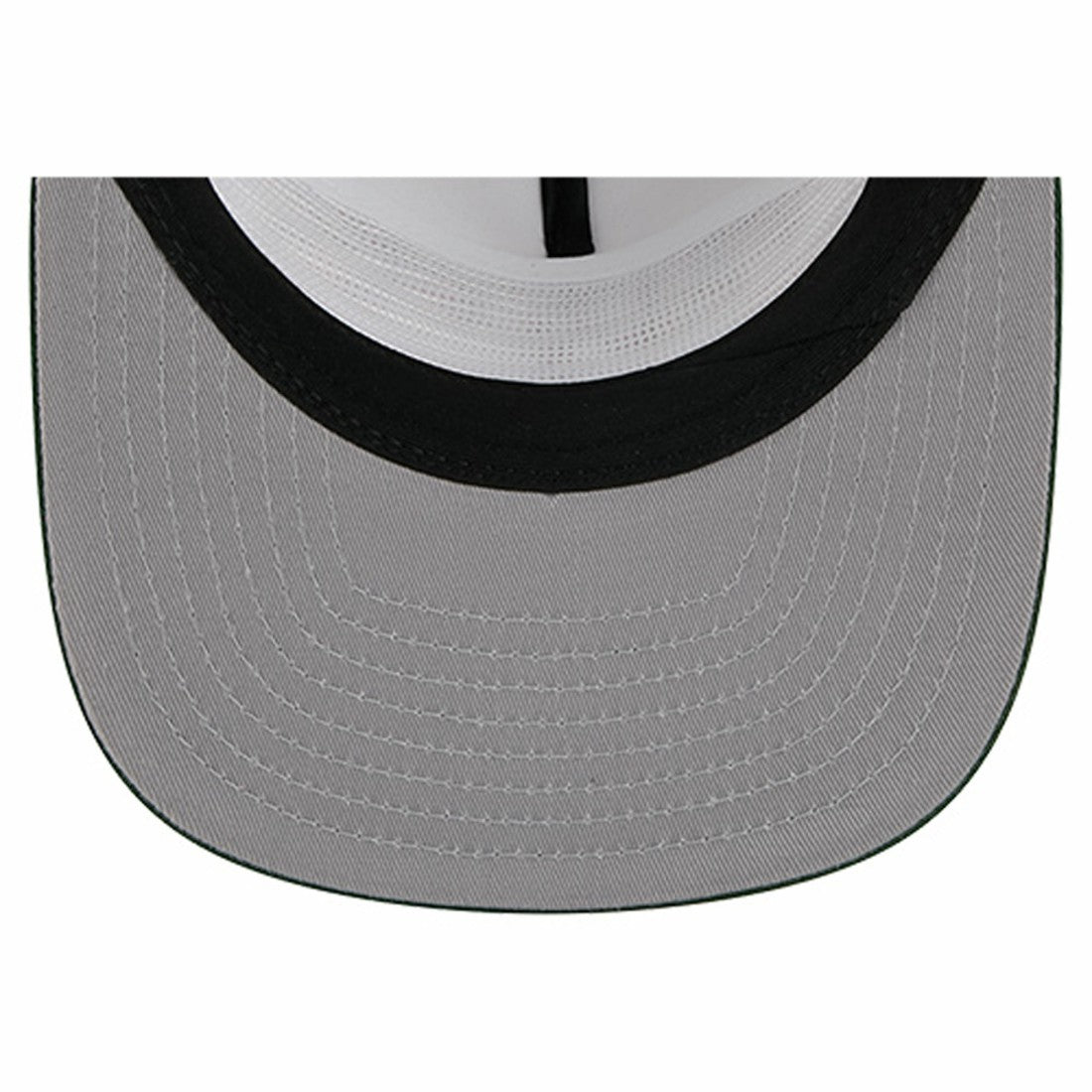 NFL Green Bay Packers Argyle 19TWENTY Adjustable Hat