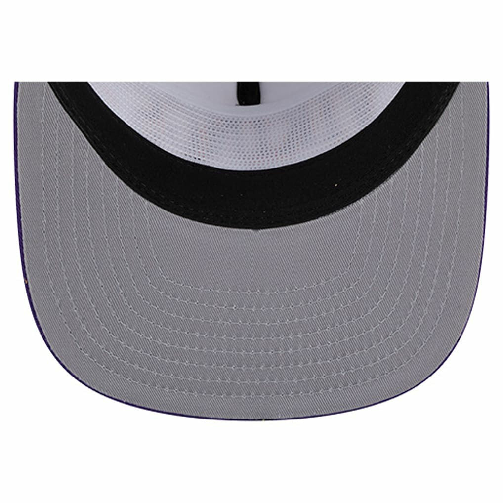NFL Minnesota Vikings Argyle 19TWENTY Adjustable Hat