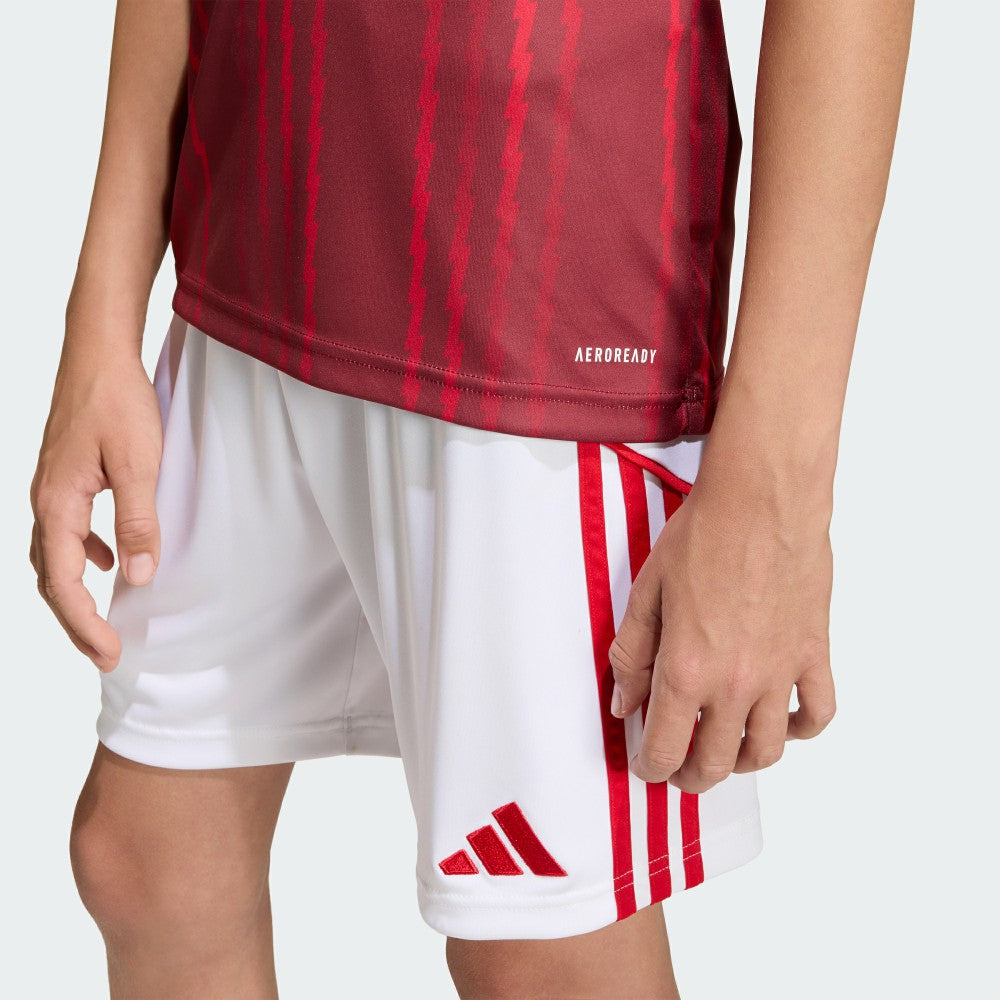 Arsenal Youth 2025/26 Pre-Match Training Jersey / Soccer Sale