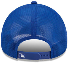 New York Mets 2026 Batting Practice Alternate Apex 9FORTY Adjustable Hat - Royal | New Era