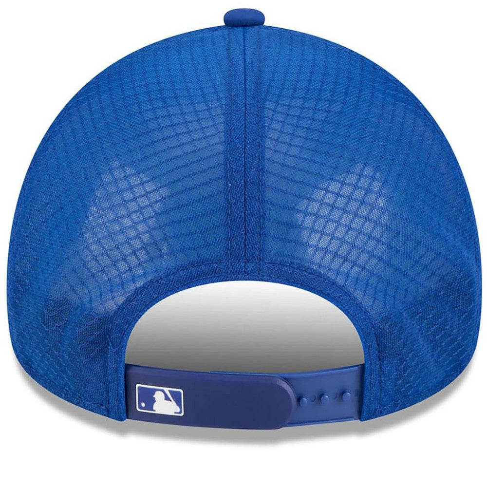 New York Mets 2026 Batting Practice Alternate Apex 9FORTY Adjustable Hat - Royal | New Era