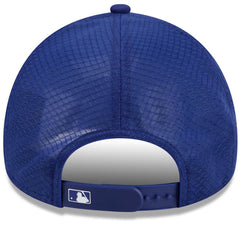 Los Angeles Dodgers 2026 Batting Practice Alternate Apex 9FORTY Adjustable Hat - Royal | New Era