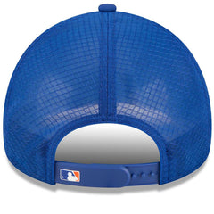 New York Mets 2026 Batting Practice Apex 9FORTY Adjustable Trucker Hat - Royal | New Era