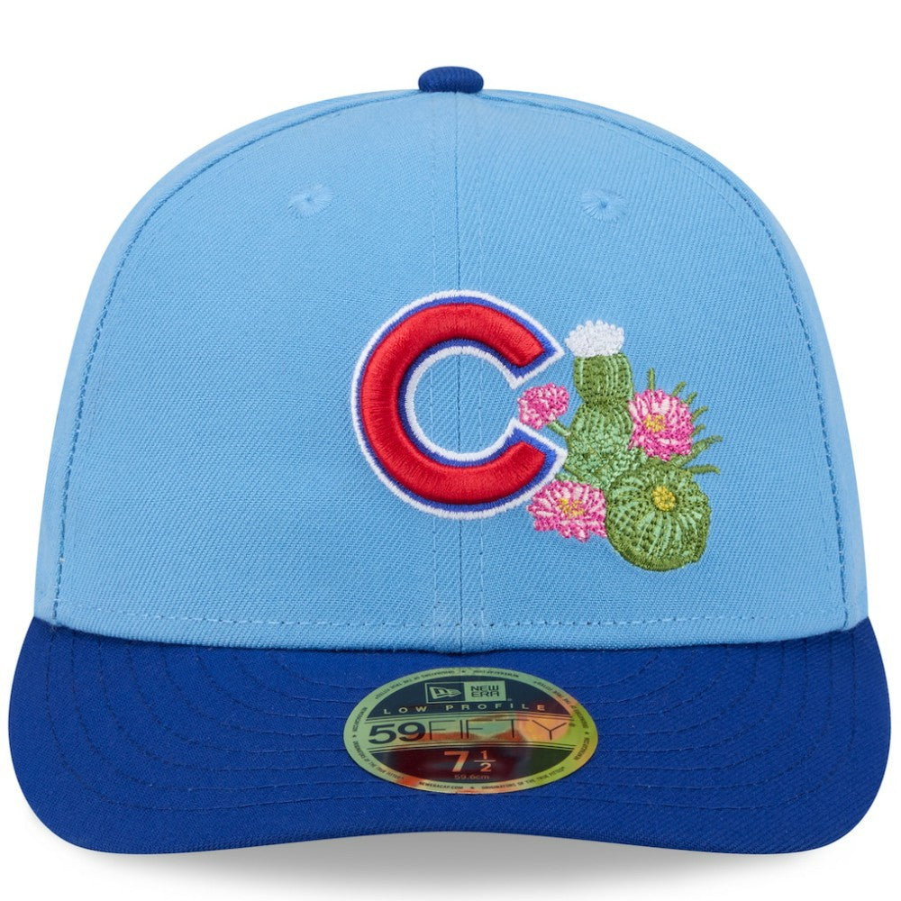 Chicago Cubs 2026 Spring Training Low Profile 59FIFTY Fitted Hat - Light Blue/Royal | New Era