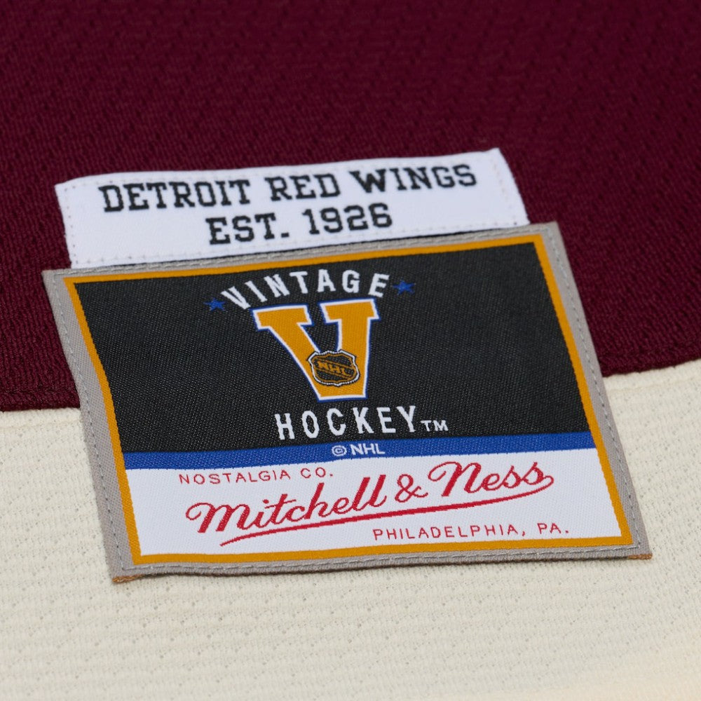 Detroit Red Wings Mitchell & Ness x Just Don Jersey Hoodie