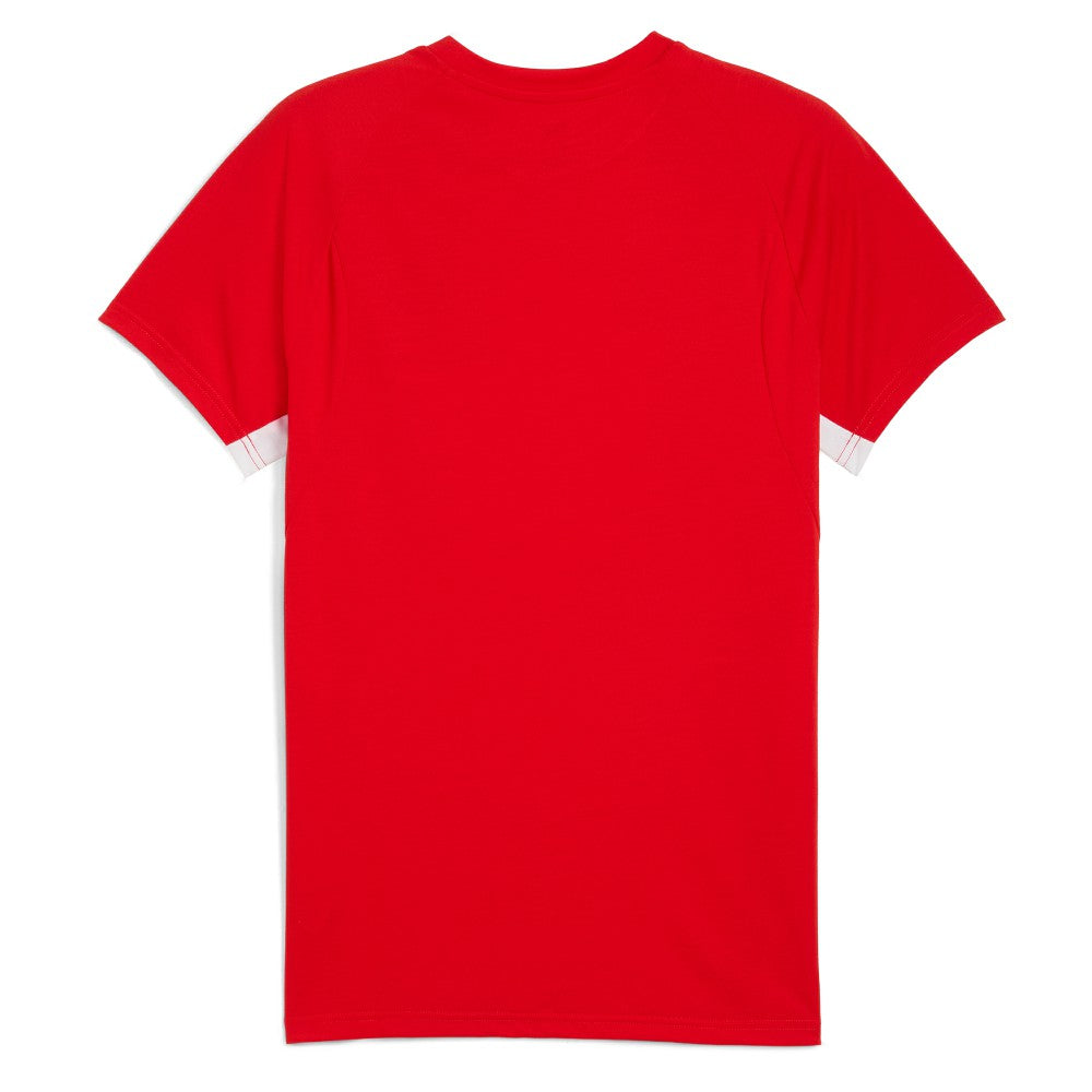 Chivas 2025/26 Evostripe Raglan T-Shirt / Soccer On sale