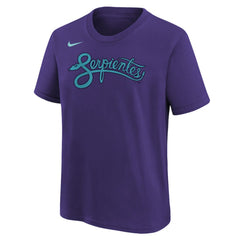 Zac Gallen Arizona Diamondbacks Youth Fuse City Connect Name & Number T-Shirt - Purple | Nike