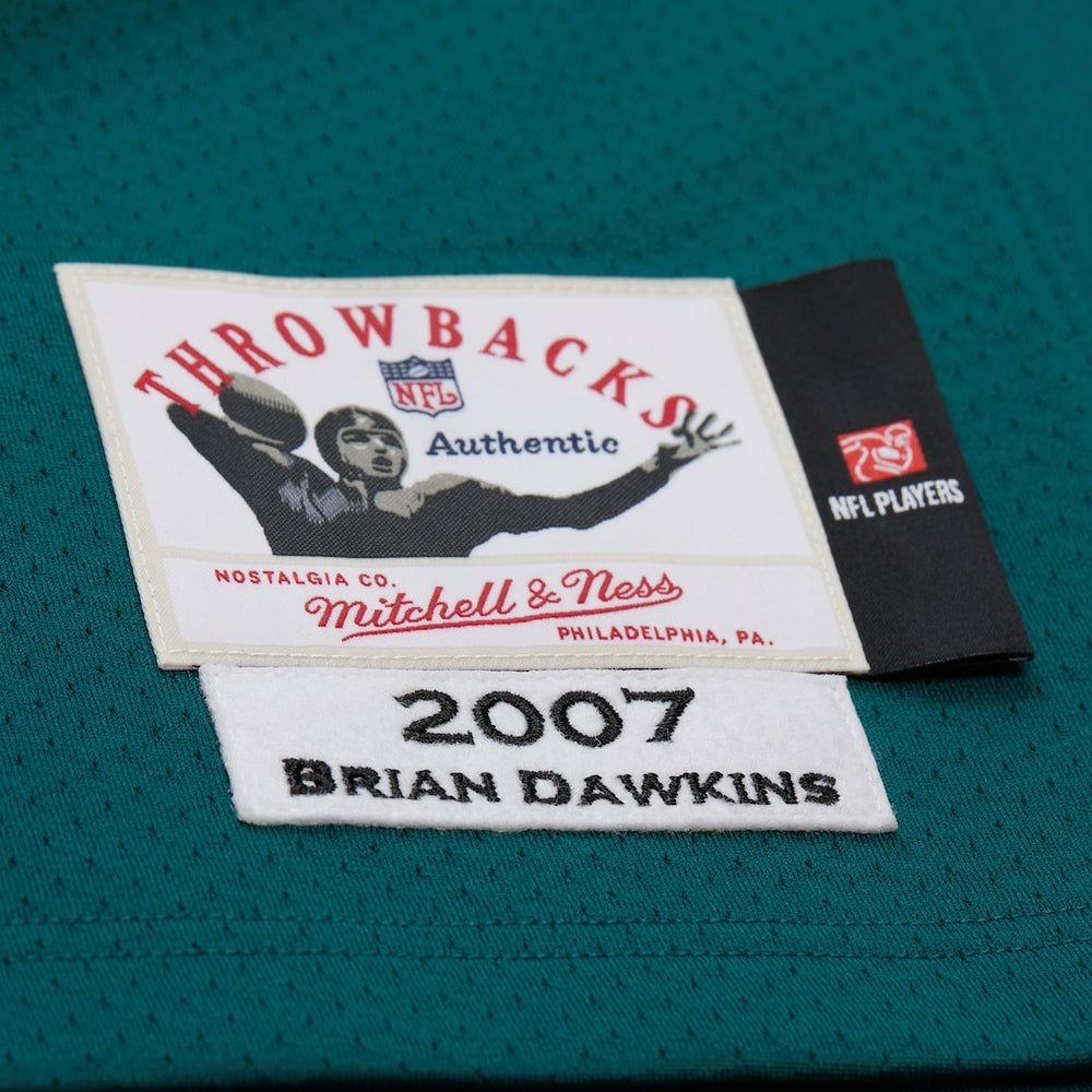 NFL Philadelphia Eagles Brian Dawkins  2007 Authentic Throwback Retired Player Jersey