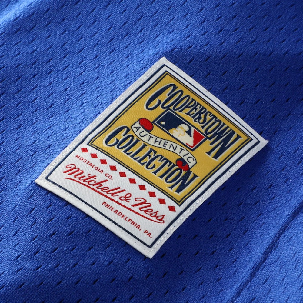 Greg Maddux Chicago Cubs Authentic Batting Practice Jersey - Royal | Mitchell & Ness