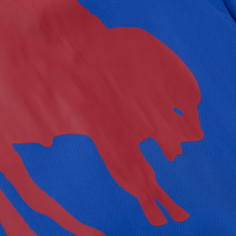 NFL Buffalo Bills Coaches Full-Snap Hooded Windbreaker Jacket