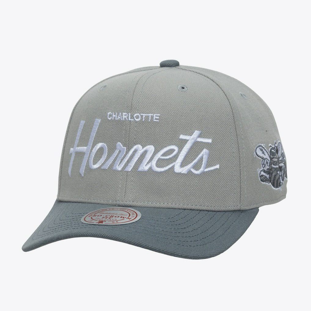 Charlotte Hornets Thunderstorm Head Coach Pro Crown Snapback Hat - Gray | Mitchell & Ness sale