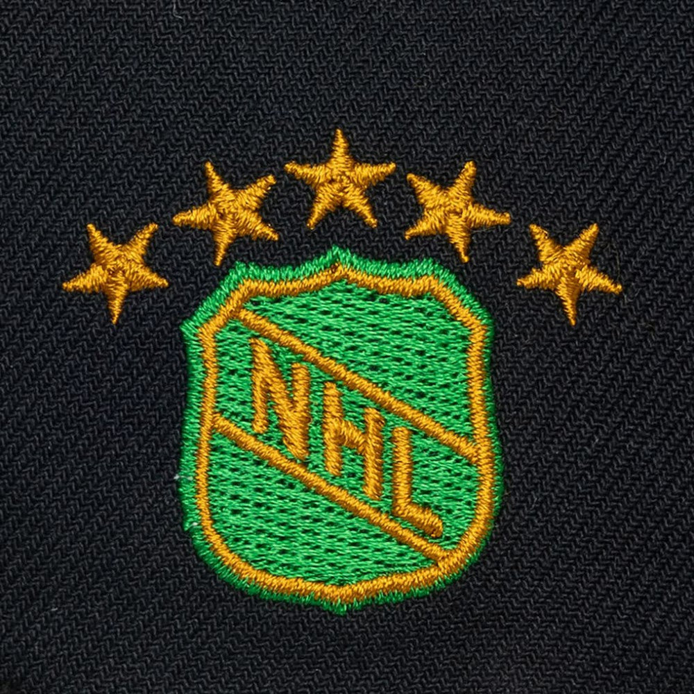 Dallas Stars Mitchell & Ness Legendary Away Snapback Hat