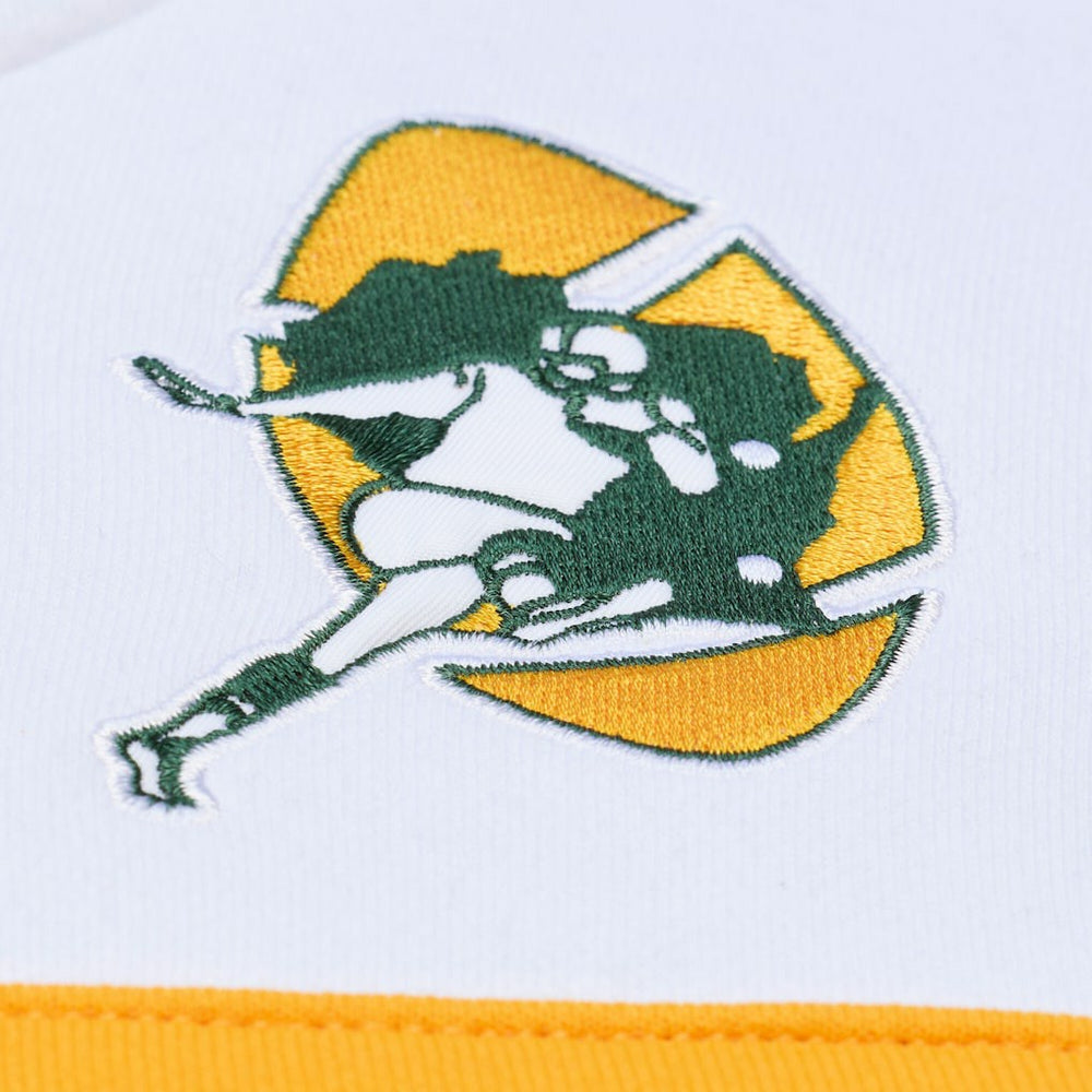 NFL Green Bay Packers Head Coach Hoodie