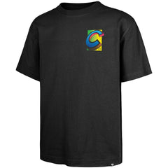 Chicago Cubs Sundale Foundation T-Shirt - Black | 47 brand