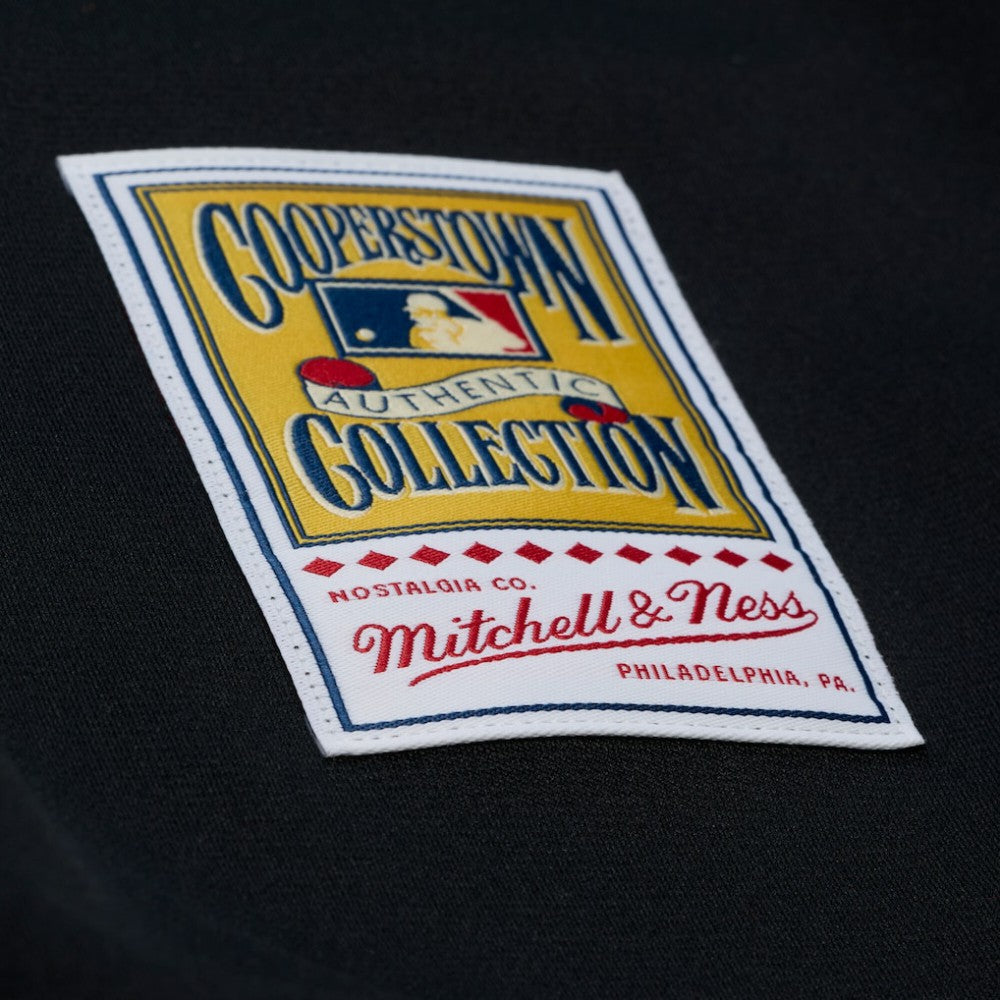 Randy Johnson Arizona Diamondbacks 2001 Authentic Jersey - Black | Mitchell & Ness