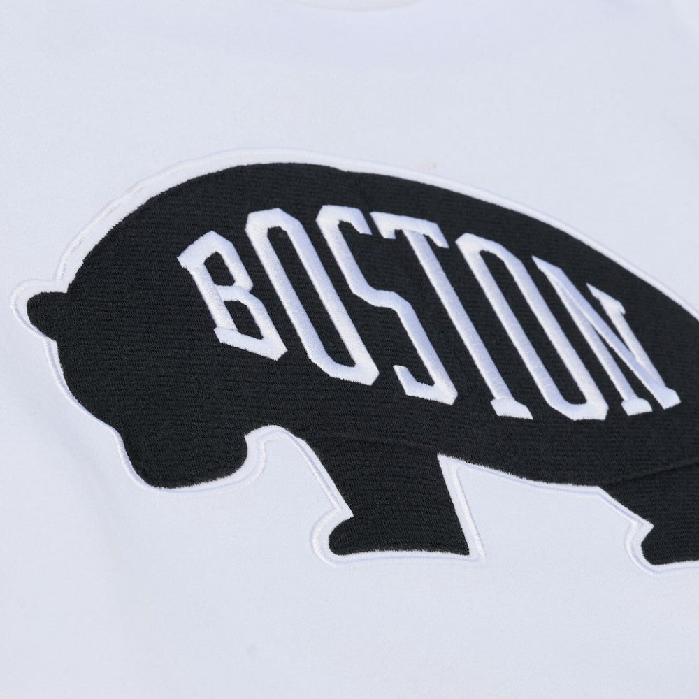 Boston Bruins Mitchell & Ness Arctic Fleece Hoodie