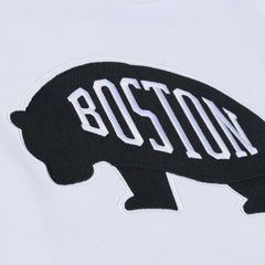 Boston Bruins Mitchell & Ness Arctic Fleece Hoodie
