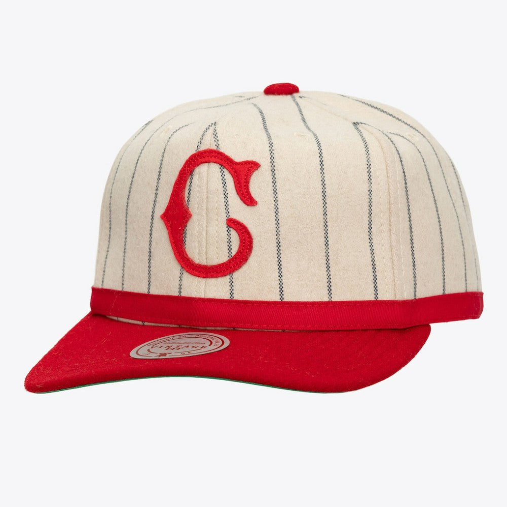 Cincinnati Reds Unisex Vintage Ground Melton Wool Pinstripe Adjustable Hat - Cream | Mitchell & Ness