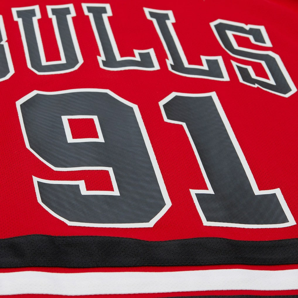 Dennis Rodman Chicago Bulls Unisex Maxxed Out Fashion Hockey Jersey sale - Red | Mitchell & Ness outlet