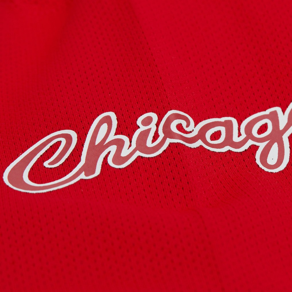 Dennis Rodman Chicago Bulls Unisex Maxxed Out Fashion Hockey Jersey sale - Red | Mitchell & Ness outlet