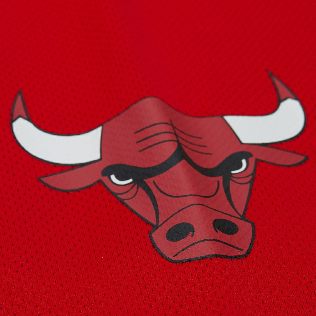 Dennis Rodman Chicago Bulls Unisex Maxxed Out Fashion Hockey Jersey sale - Red | Mitchell & Ness outlet