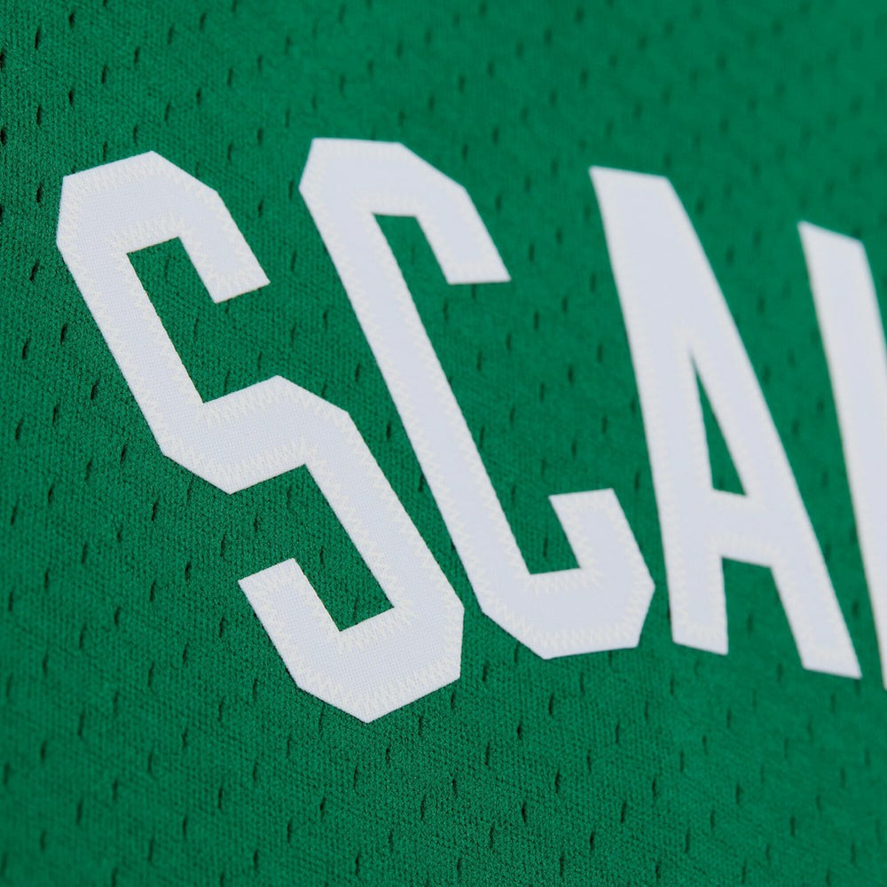 Brian Scalabrine Boston Celtics 2007/08 Hardwood Classics Swingman Jersey - Kelly Green | Mitchell & Ness sale