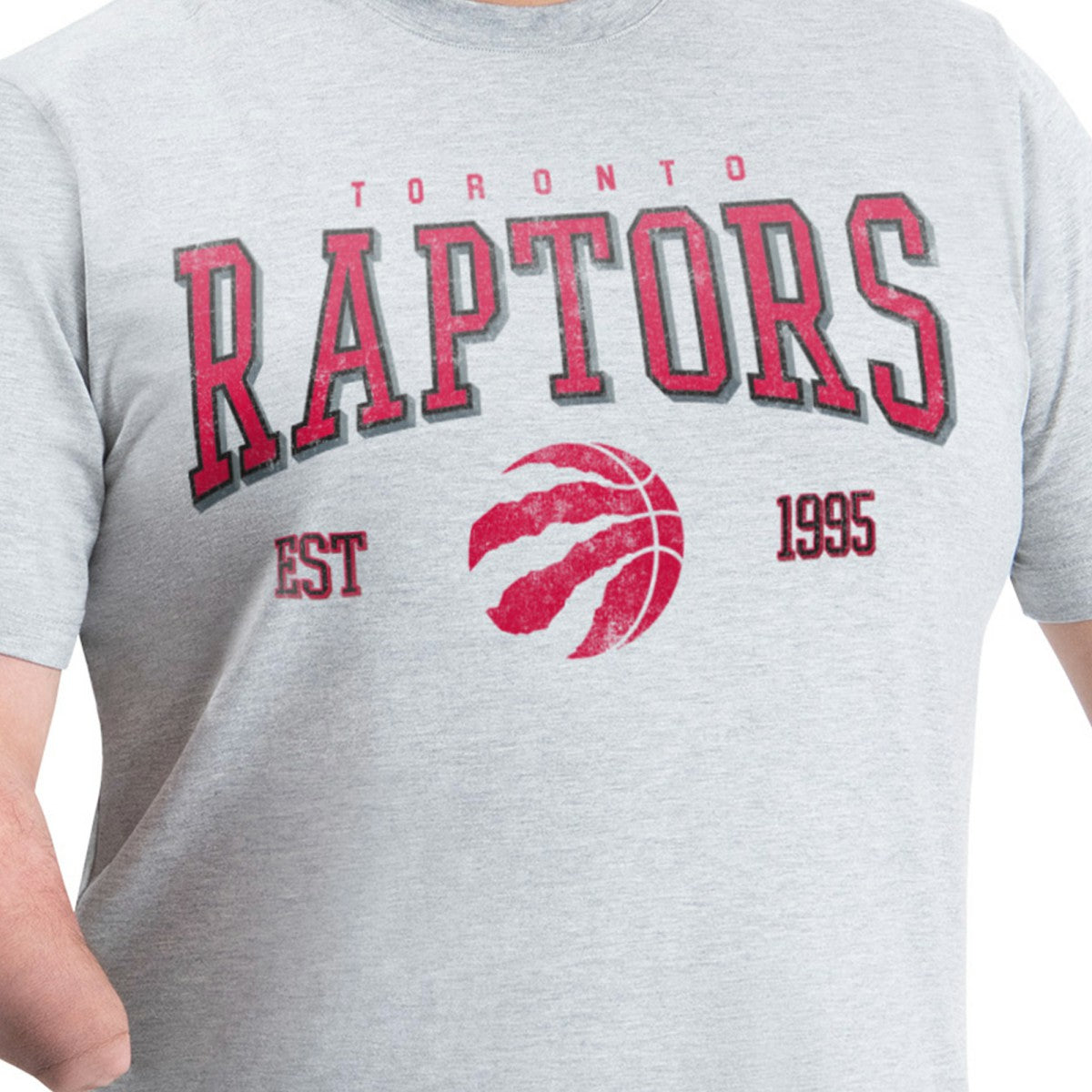 Toronto Raptors G-III Sports by Carl Banks Adaptive Classic Team Spirit Short Sleeve T-Shirt - Gray cheap