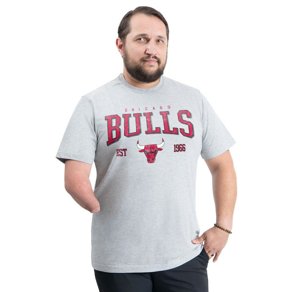 Chicago Bulls G-III Sports by Carl Banks Adaptive Classic Team Spirit Short Sleeve T-Shirt sale - Gray for sale