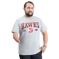 Atlanta Hawks G-III Sports by Carl Banks Adaptive Classic Team Spirit Short Sleeve T-Shirt - Gray for sale