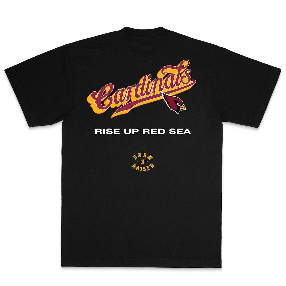 NFL Arizona Cardinals Born x Raised Unisex Pro Script T-Shirt