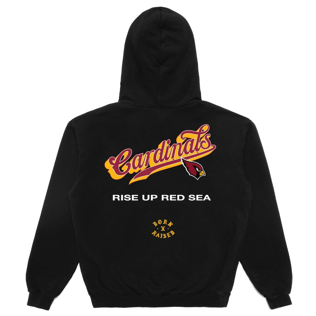 NFL Arizona Cardinals Born x Raised Unisex Pro Script Hoodie