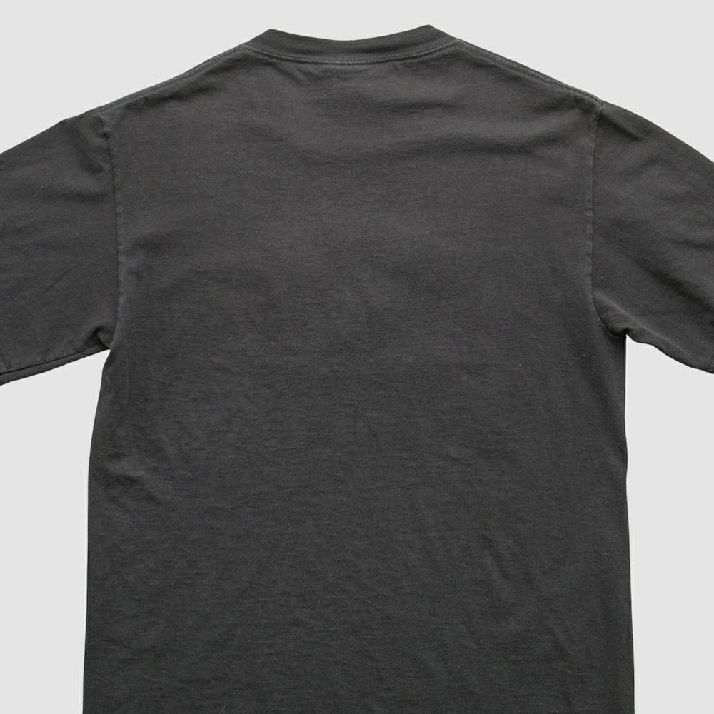 NFL Pittsburgh Steelers Lee Apparel 90s T-Shirt
