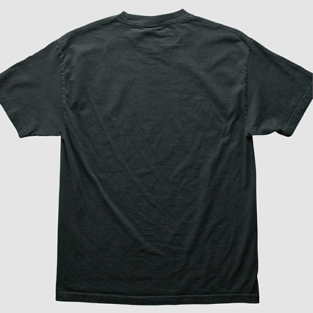 NFL Pittsburgh Steelers NFL 2000s T-Shirt