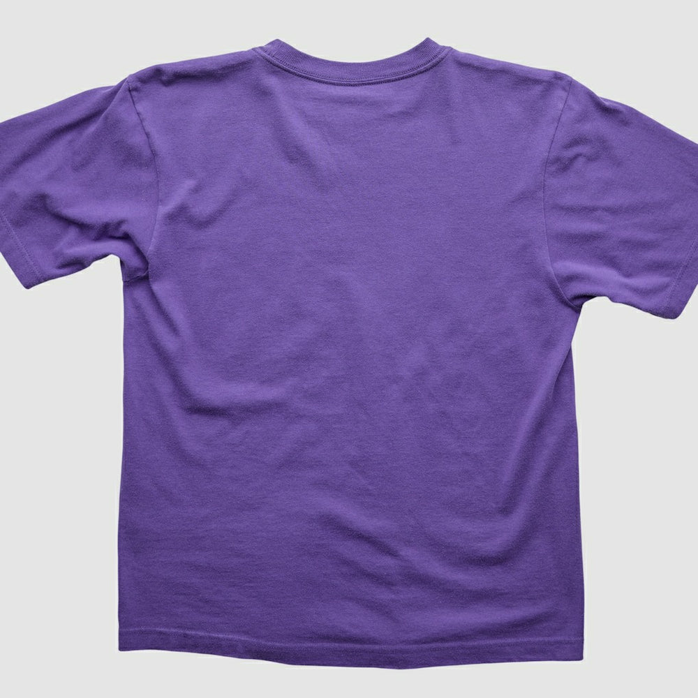 NFL Minnesota Vikings 2000s T-Shirt