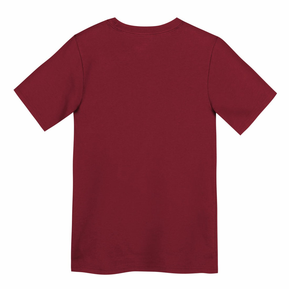 NFL Tampa Bay Buccaneers Preschool Icon Legend Dri-FIT T-Shirt