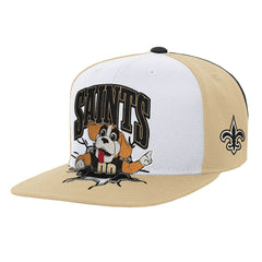 NFL New Orleans Saints Youth Team Mascot Snapback Hat
