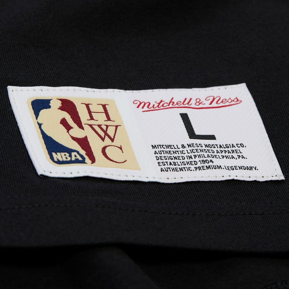 Boston Celtics Hardwood Classics Throw It Back Premium T-Shirt - Black | Mitchell & Ness cheap