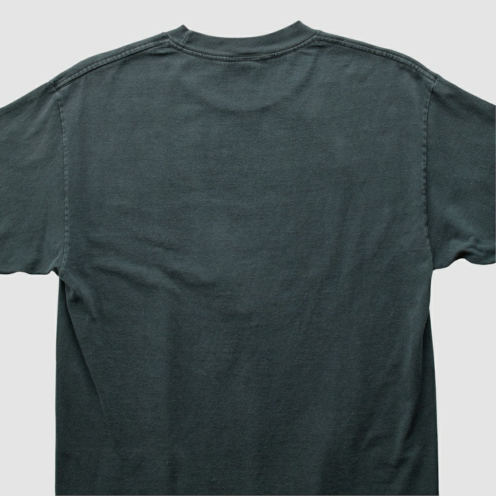 NFL Pittsburgh Steelers NFL 2010s T-Shirt