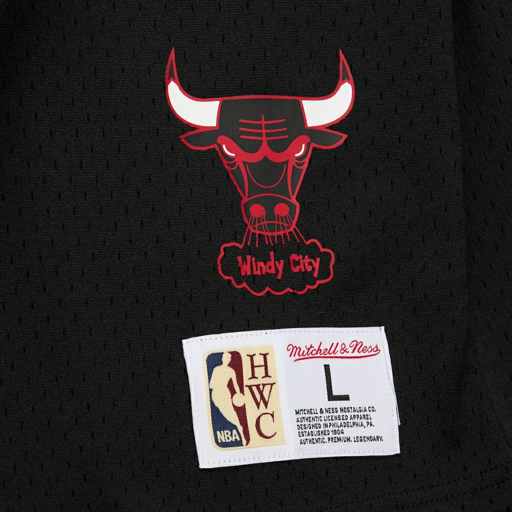 Dennis Rodman Chicago Bulls Mesh Name & Number Short Sleeve Hoodie sale - Black | Mitchell & Ness on sale