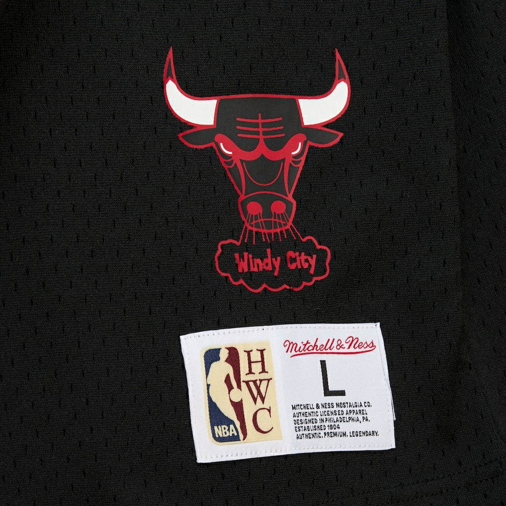 Dennis Rodman Chicago Bulls Mesh Name & Number Short Sleeve Hoodie sale - Black | Mitchell & Ness on sale