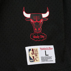 Dennis Rodman Chicago Bulls Mesh Name & Number Short Sleeve Hoodie sale - Black | Mitchell & Ness on sale