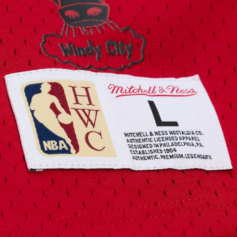 Scottie Pippen Chicago Bulls Mesh Name & Number Short Sleeve Hoodie sale - Red | Mitchell & Ness for sale