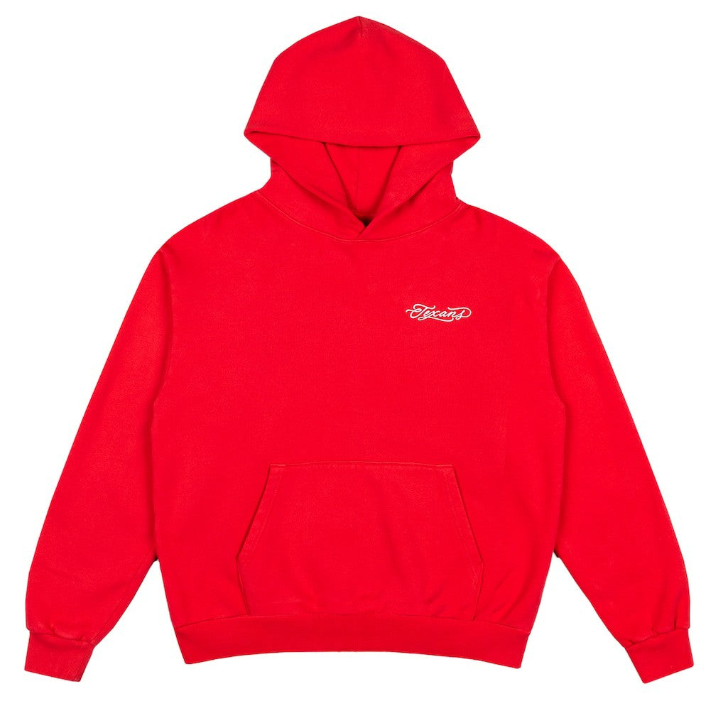 NFL Houston Texans Born x Raised Unisex Fine Line Hoodie