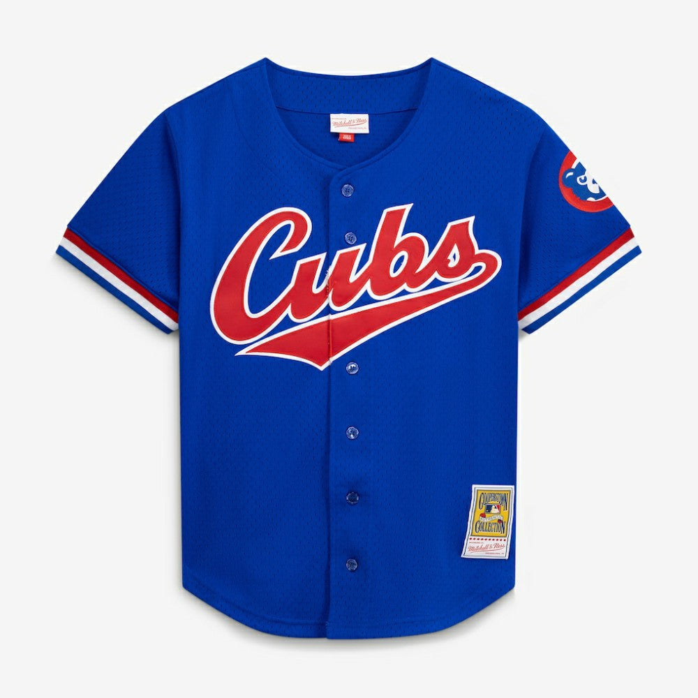 Ryne Sandberg Chicago Cubs Cooperstown Collection 1996 Mesh Batting Practice Button-Up Jersey - Royal | Mitchell & Ness