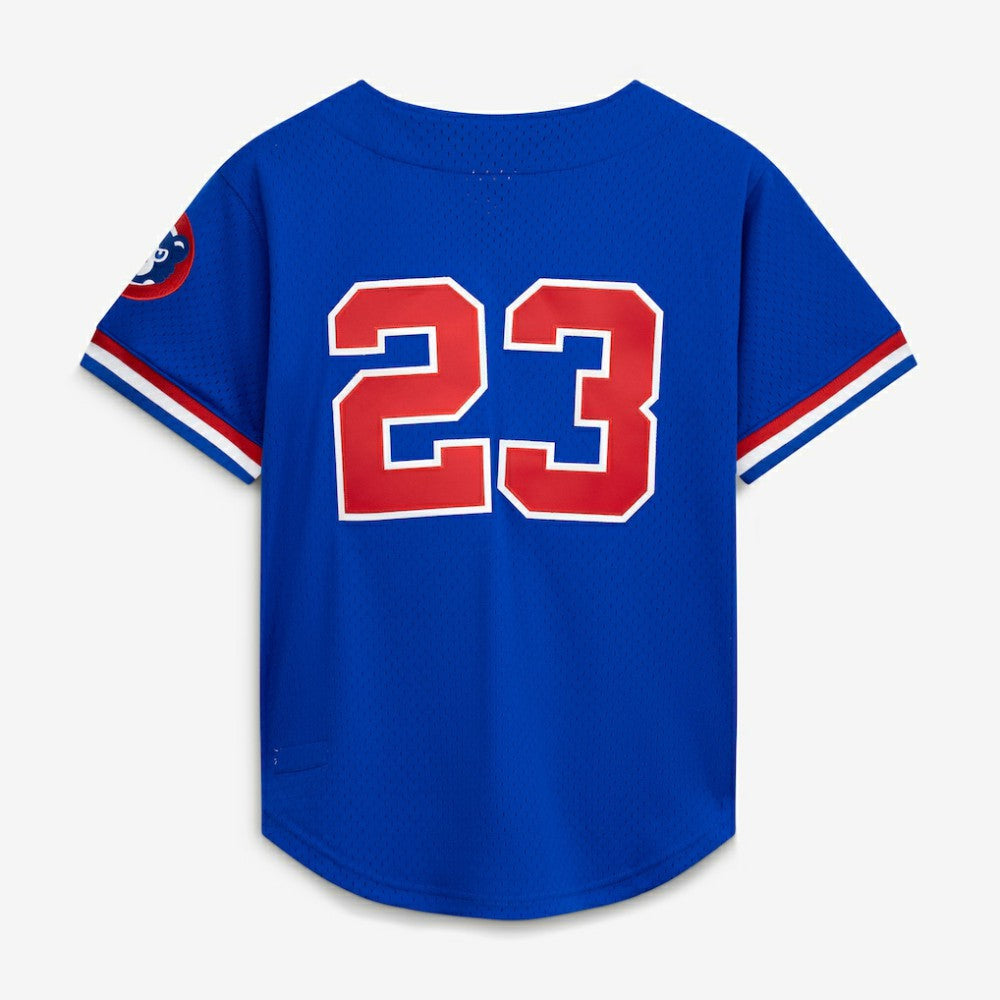 Ryne Sandberg Chicago Cubs Cooperstown Collection 1996 Mesh Batting Practice Button-Up Jersey - Royal | Mitchell & Ness